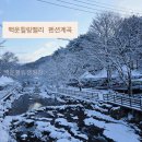 백운힐링 캠핑장 | 백운힐링캠핑장 캠핑 초보에게 딱 맞는 이유