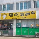 멍이올래 이미지