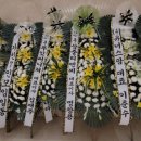 프리덤라이프 이미지