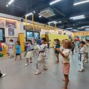 용인대 블랙벨트 태권도 이미지