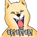 선사부짬뽕중화요리 이미지