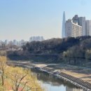 대치4-115 이미지