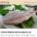 백선횟집 | 일곱 업소 중 두 업소만 생존