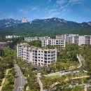 파라스파라 서울 이미지