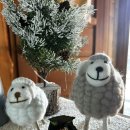 마태농장2 이미지