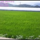 황룡2리마을회관 이미지