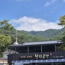 단양우리한옥민박 | 단양 가볼만한곳, 아이와 같이간 한옥펜션 맛집 내돈내산 후기 추천