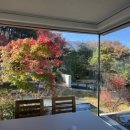 청도 림 이미지