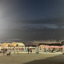 노랑김밥 이미지