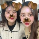 신세계투어 - 수원시 장안구 경수대로 940 | 신세계투어