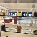 (주)본소프트 | 셀린느 신상 가방 리틀 하프 문 소프트 트리옹프