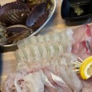 도계시장 | [창원 도계동] 도계시장 공도포차｜방어 해산물 모둠 초밥 후기