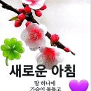 2월27일 목요일 서부경남방출석부 이미지