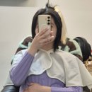 성산초등학교 | [홍대 붙임머리] 서울 붙임머리잘하는곳, 핀다붙임머리에서 붙임머리 후기!