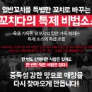 더꼬치다 이미지