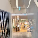 길 모퉁이 하우스 | [경기/판교] 판교 현대백화점 두툼한 스테이크 맛집 ‘텍사스 로드하우스’ 후기