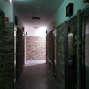 허니코인노래연습장 이미지