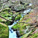 계곡풍경 이미지