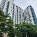 구미대로 이미지