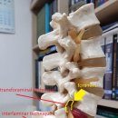 서울정형외과의원 이미지