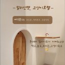 밀리언캣