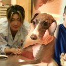 승훈농장 이미지