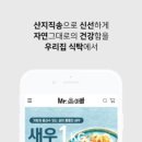 미스터아빠