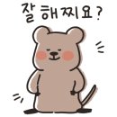 빡빡이제주생해물탕 이미지