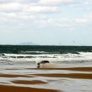 서해바다 이미지