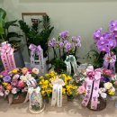 시립빛누리어린이집 네이버블로그