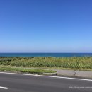 디자인달콩