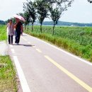 연근농장 이미지