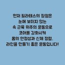 필라테스다이브
