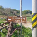 전 기황후 릉 터 이미지