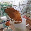 별이네농장 이미지