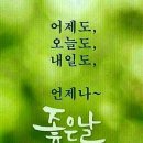 칭구야 Daum카페