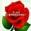 멋진하루 이미지