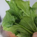 주야농장 이미지