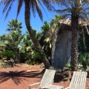 인스밀 | 제주 서귀포 애견동반 가능한 감성 카페 &#39;인스밀&#39; 내돈내산 솔직후기 / 보리개역, 보리크림라떼