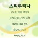 스피루리나 총정리 복용법 섭취 방법은? 스피룰리나(스피루니나) 이미지