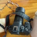 캐논 RF-S 55-210mm F5-7.1 망원렌즈 구입후기