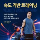 속도 기반 트레이닝 (Velocity Based Training)