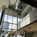 한밭대로(유성-15) 이미지