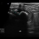 태안동물병원 이미지