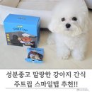 (주)스마일 | 강아지간식 성분 보고 고른 주트립 스마일탭 후기