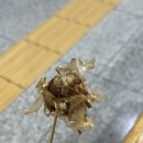 오레시피동두천 이미지