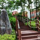 대구선원초등학교 이미지