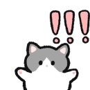 진우세탁 이미지