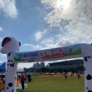 행복하개 | 2025 용인특례시 반려동물 문화축제 “용인시와 행복하개” 방문 후기