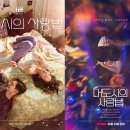 (주)유기농사랑 티스토리